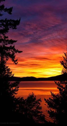 the sun is setting over some water and trees