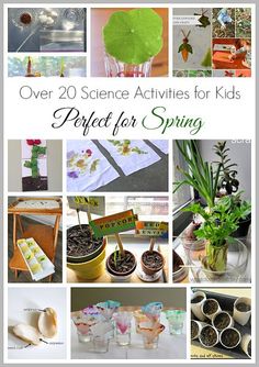 the cover of over 20 science activities for kids perfect for spring with pictures of plants and flowers