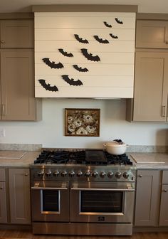 a kitchen with stainless steel appliances and bats on the backsplash over the stove