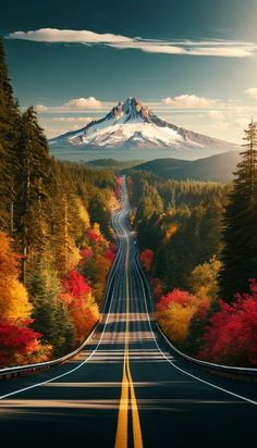 an empty road in the middle of a forest with a mountain in the background and autumn foliage on both sides