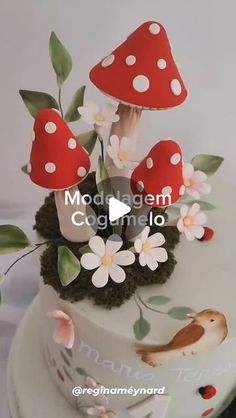 there is a cake decorated with mushrooms and flowers