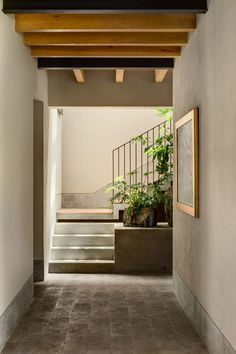 an entry way with stairs and potted plants