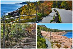 the steps lead up to the beach and down to the water, along with trees that are changing colors