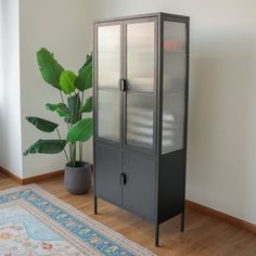 a tall black cabinet sitting next to a potted plant