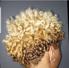 Honey Blonde Hair On Black Women Natural Short, Blonde And Brown Hair Color Black Women Natural Hair, Blond Tapered Natural Hair, Honey Blonde Type 4 Natural Hair, Dyed 4c Natural Hair Honey Blonde, Natural Hair Haircuts