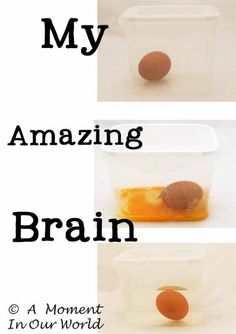 three images showing how to make an egg in a container with the words, my amazing brain