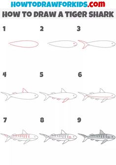 how to draw a tiger shark step by step instructions for children and adults in easy steps