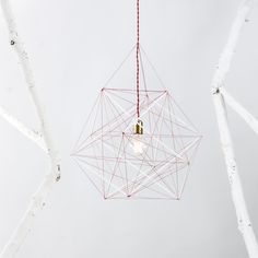 a red string light hanging from a white tree