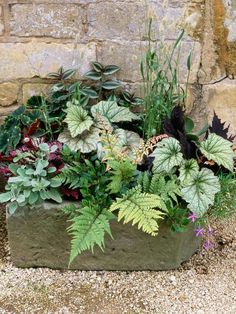 a planter filled with lots of different types of plants