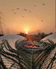 an open book with the sun setting in the background and birds flying over it,