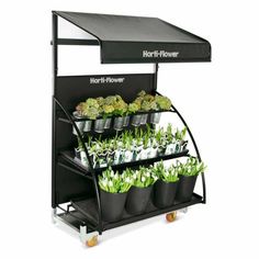 the hot - it - flower plant stand has many plants growing in pots and on wheels