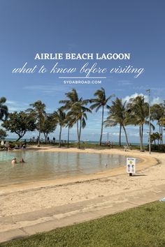 an empty beach with palm trees and the words arlie beach lagoon what to know before visiting