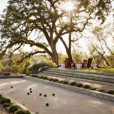 an outdoor area with lawn furniture and balls on the ground in front of a large tree