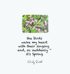 the birds wake my heart with their singing and so suddenly it's spring