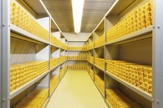 the shelves are filled with gold bars