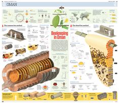 an info poster showing the workings and components of a nuclear power plant, with information about how it works