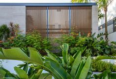 an outdoor garden with lots of green plants and trees in front of a white building