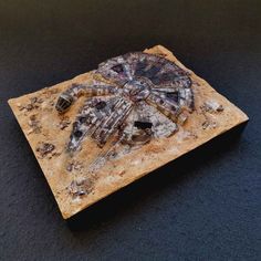 a close up of a model of a spider