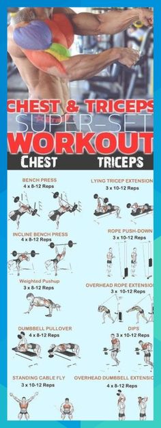 the chest and triceps workout poster