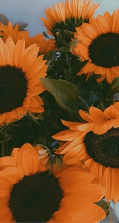 a bunch of sunflowers that are in a vase