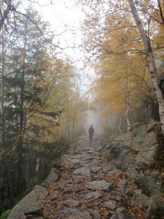 a person walking down a rocky path in the woods on a foggy autumn day