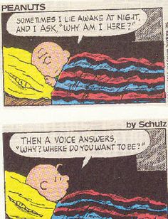 two comic strip strips with cartoon characters talking to each other and one saying peanuts sometimes i'll be awake at night and i ask why am i am i here?