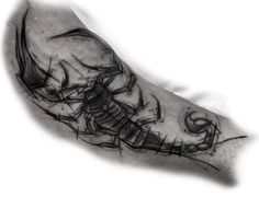 a black and white photo of a man's arm with a scorpion tattoo on it