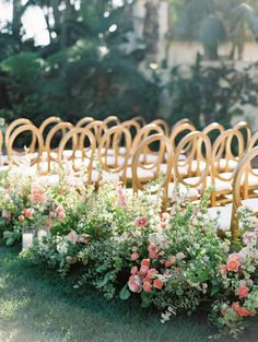 rows of chairs lined up with flowers on the back and sides, in front of an outdoor setting