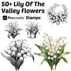 the 50 lily of the valley flowers procreate stamps