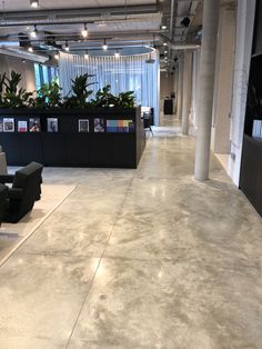 an empty office with chairs and plants on the walls