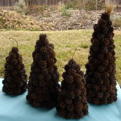 four small brown trees sitting on top of a blue cloth covered table in front of a yard