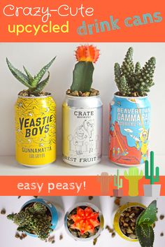 three cans with plants in them and the words crazy cute upcycled drink cans