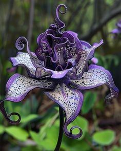 a purple and white flower in the middle of some leaves