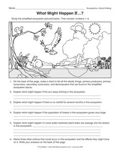 an animal worksheet with the words what might happen?