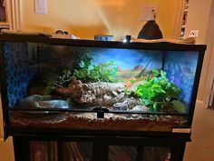 a fish tank with plants and rocks in the bottom half, on top of a cabinet