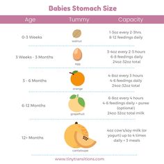 the baby's stomach size chart shows how much fats are in each month