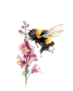 a watercolor painting of a bee on a flower with the words meinr sehen above it