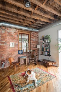 a dog laying on top of a rug in a living room