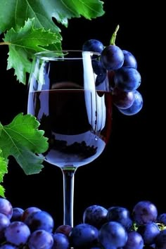 a glass of wine and some grapes on a black background with green leafy leaves