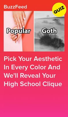 the back cover of buzzfeed's popular goth album, pick your aesthetic in every color and we'll reveal your high school cliquee