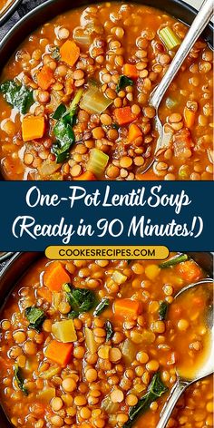 one pot lentil soup is ready in 90 minutes