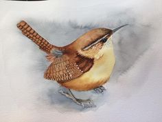 a watercolor painting of a bird on white paper