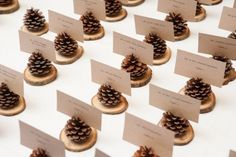 pine cones and place cards are on display