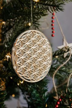 an ornament hanging from a christmas tree