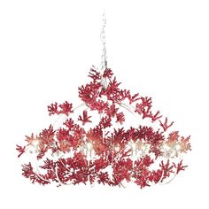 a red chandelier hanging from the ceiling