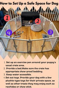 the instructions for how to set up a safe space for your dog in a cage