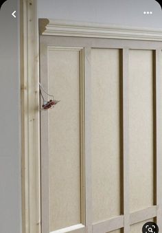 an open closet door in a room with white walls and wood trim on the doors