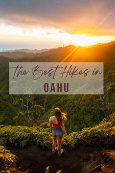 the best hikes in oahu