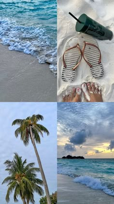 there are four different pictures with palm trees on the beach