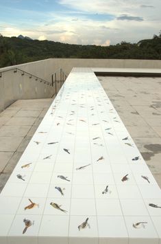 a long white table with birds on it in the middle of a room that is empty